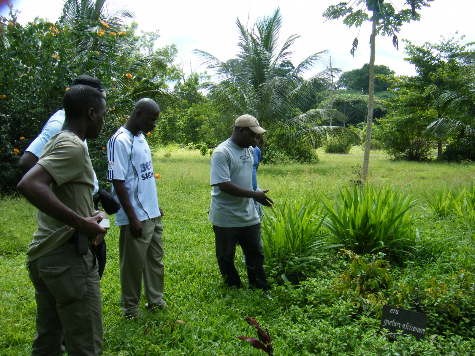 Botanical Garden, Nzaloungou